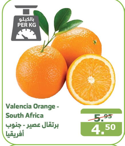  Orange  in Al Raya in KSA, Saudi Arabia, Saudi - Mecca