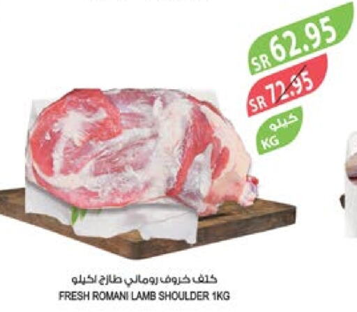  Mutton / Lamb  in Farm  in KSA, Saudi Arabia, Saudi - Jubail