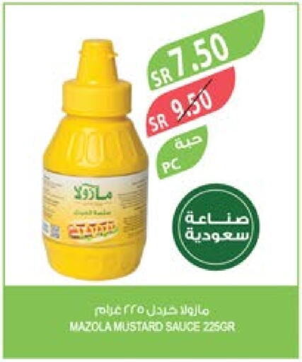 MAZOLA Other Sauce  in Farm  in KSA, Saudi Arabia, Saudi - Jubail