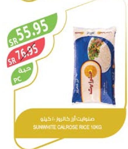  Calrose Rice  in Farm  in KSA, Saudi Arabia, Saudi - Jubail