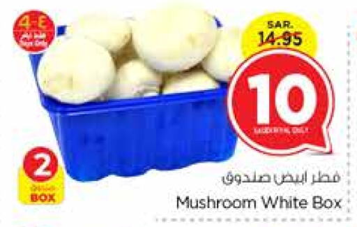  Mushroom  in Nesto in KSA, Saudi Arabia, Saudi - Jubail