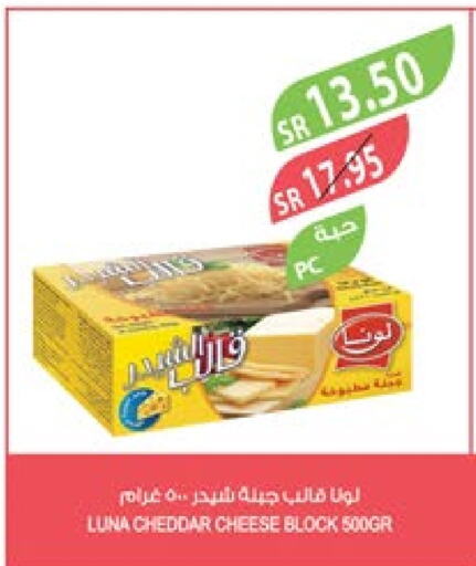 LUNA Cheddar Cheese  in Farm  in KSA, Saudi Arabia, Saudi - Jubail