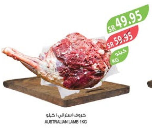  Mutton / Lamb  in Farm  in KSA, Saudi Arabia, Saudi - Jeddah