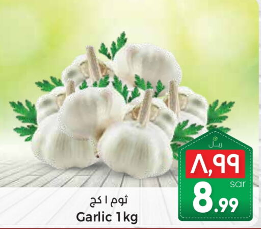 Garlic