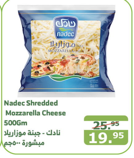 NADEC Mozzarella  in Al Raya in KSA, Saudi Arabia, Saudi - Mecca