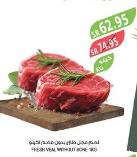  Veal  in Farm  in KSA, Saudi Arabia, Saudi - Jeddah