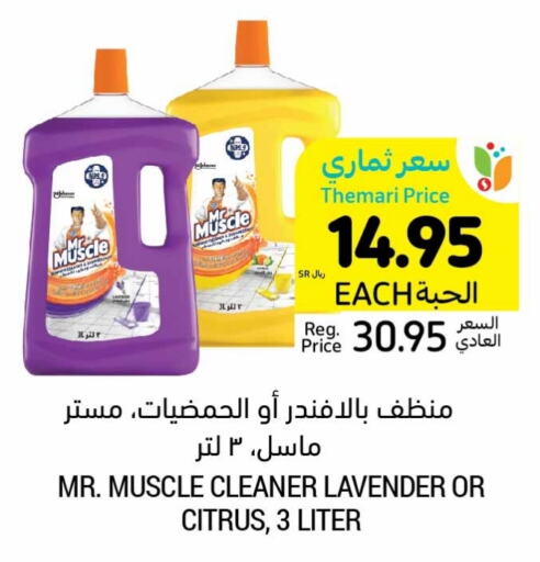 MR. MUSCLE General Cleaner  in Tamimi Market in KSA, Saudi Arabia, Saudi - Jubail