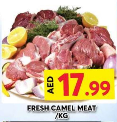  Camel meat  in Grand Hyper Market in UAE - Dubai