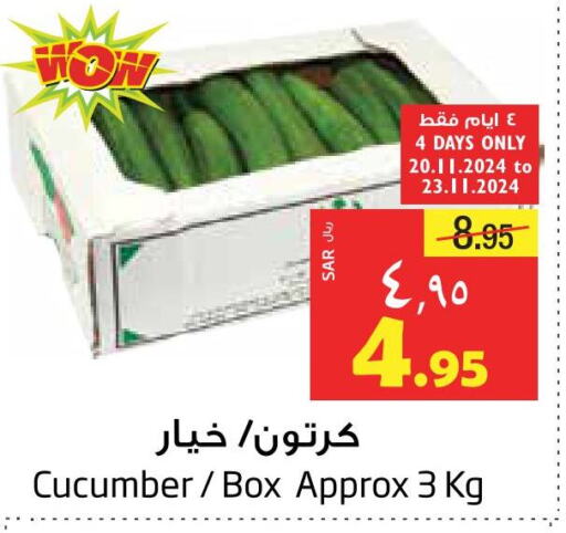  Cucumber  in Layan Hyper in KSA, Saudi Arabia, Saudi - Dammam