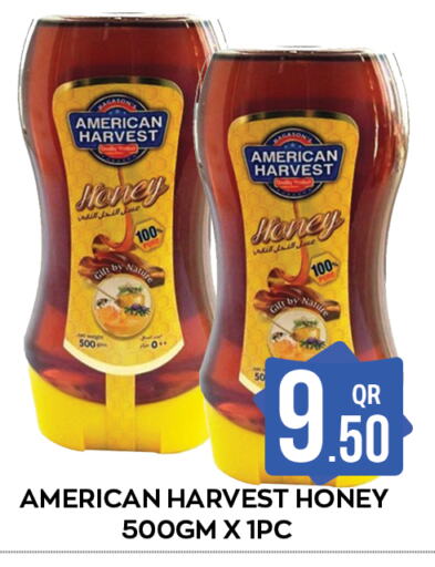 AMERICAN HARVEST Honey  in Majlis Shopping Center in Qatar - Doha