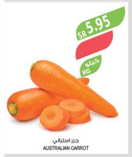  Carrot  in Farm  in KSA, Saudi Arabia, Saudi - Jubail