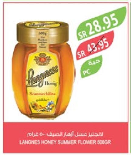  Honey  in Farm  in KSA, Saudi Arabia, Saudi - Jubail