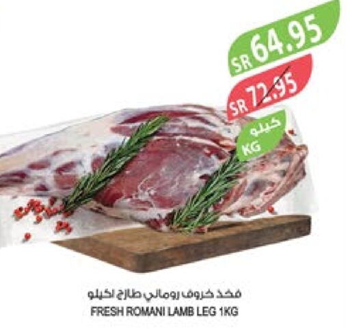  Mutton / Lamb  in Farm  in KSA, Saudi Arabia, Saudi - Jubail