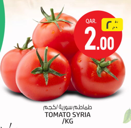  Tomato  in Saudia Hypermarket in Qatar - Doha