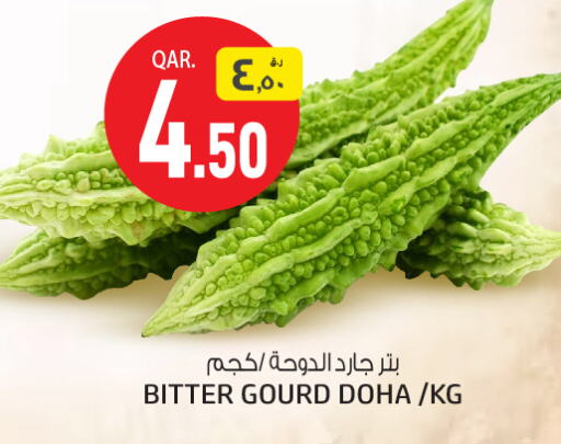  Gourd  in Saudia Hypermarket in Qatar - Doha