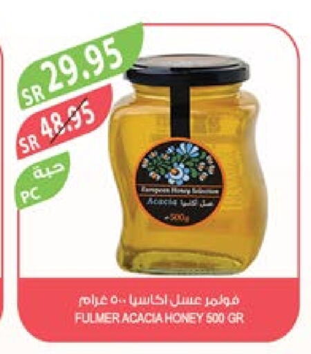  Honey  in Farm  in KSA, Saudi Arabia, Saudi - Jubail