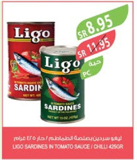  Sardines - Canned  in Farm  in KSA, Saudi Arabia, Saudi - Jubail