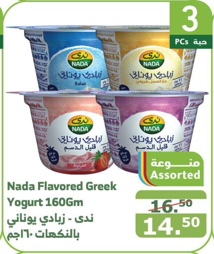 NADA Greek Yoghurt  in Al Raya in KSA, Saudi Arabia, Saudi - Mecca