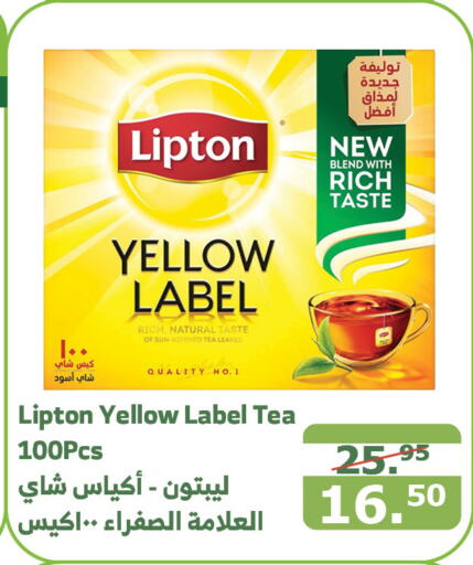 Lipton