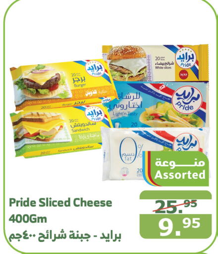  Slice Cheese  in Al Raya in KSA, Saudi Arabia, Saudi - Mecca