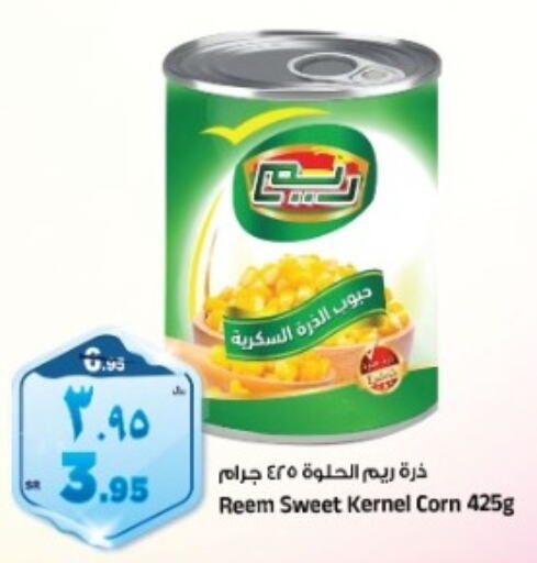 REEM   in Al Madina Hypermarket in KSA, Saudi Arabia, Saudi - Riyadh