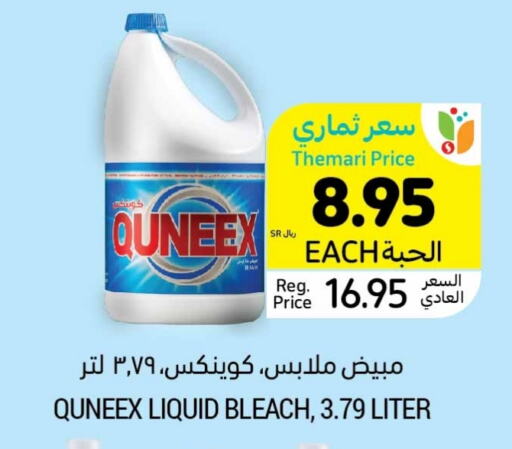 QUEENEX Bleach  in Tamimi Market in KSA, Saudi Arabia, Saudi - Jeddah