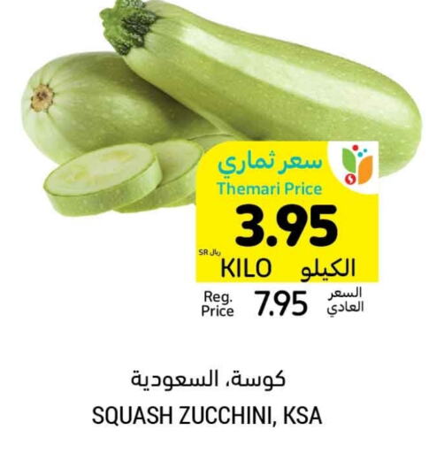 Zucchini