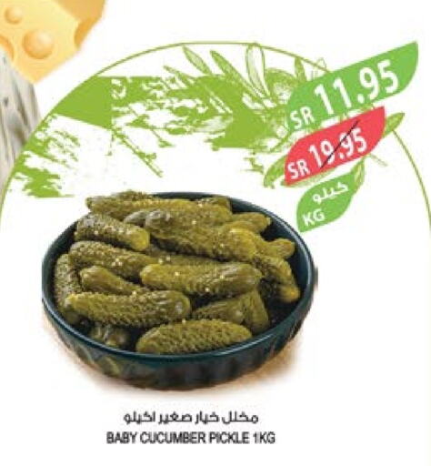  Pickle  in Farm  in KSA, Saudi Arabia, Saudi - Jubail