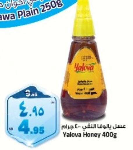  Honey  in Al Madina Hypermarket in KSA, Saudi Arabia, Saudi - Riyadh