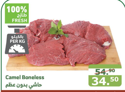  Camel meat  in Al Raya in KSA, Saudi Arabia, Saudi - Mecca