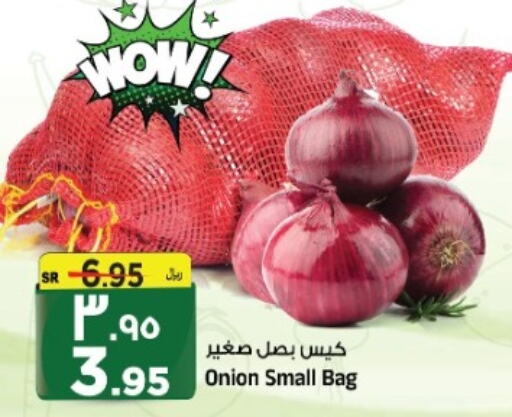 Onion