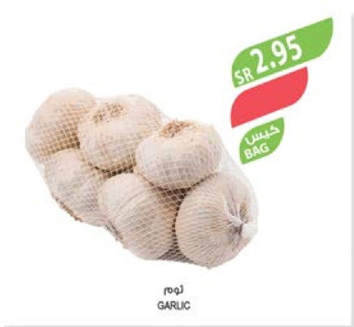 Garlic