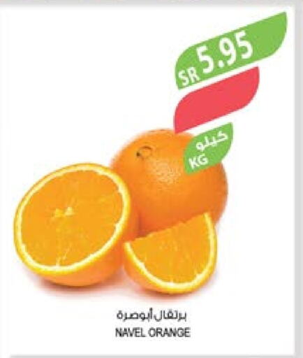  Orange  in Farm  in KSA, Saudi Arabia, Saudi - Jubail