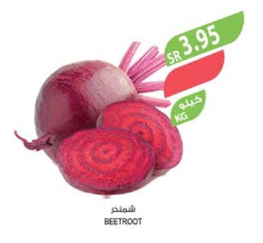  Beetroot  in Farm  in KSA, Saudi Arabia, Saudi - Jubail