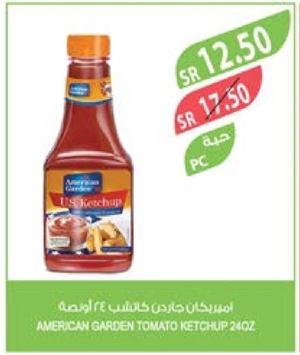 AMERICAN GARDEN Tomato Ketchup  in Farm  in KSA, Saudi Arabia, Saudi - Jubail