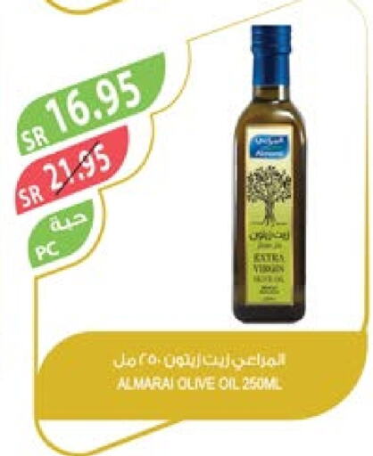 ALMARAI Olive Oil  in Farm  in KSA, Saudi Arabia, Saudi - Jubail