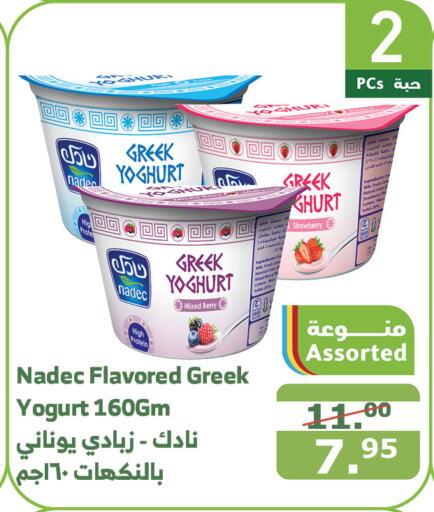 NADEC Greek Yoghurt  in Al Raya in KSA, Saudi Arabia, Saudi - Mecca