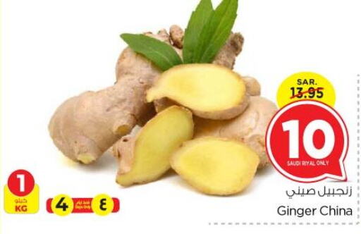  Ginger  in Nesto in KSA, Saudi Arabia, Saudi - Riyadh