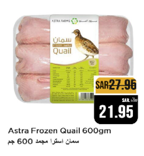  Quail  in Budget Food in KSA, Saudi Arabia, Saudi - Riyadh