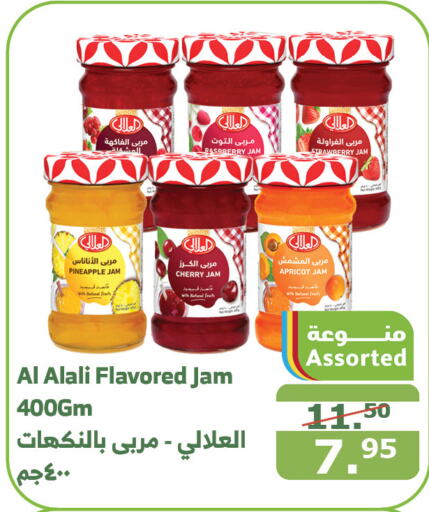 AL ALALI Jam  in Al Raya in KSA, Saudi Arabia, Saudi - Mecca