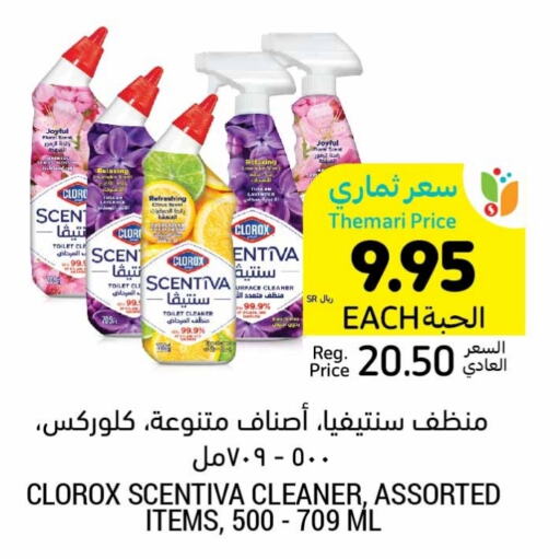 CLOROX Toilet / Drain Cleaner  in Tamimi Market in KSA, Saudi Arabia, Saudi - Jubail