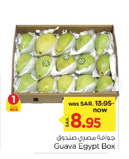  Guava  in Nesto in KSA, Saudi Arabia, Saudi - Al Khobar