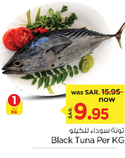  Tuna  in Nesto in KSA, Saudi Arabia, Saudi - Al Khobar