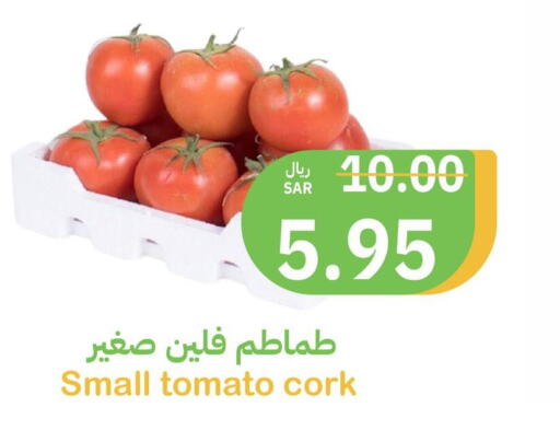  Tomato  in Qateba Markets in KSA, Saudi Arabia, Saudi - Buraidah