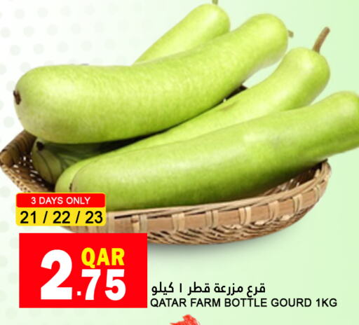  Gourd  in Food Palace Hypermarket in Qatar - Al Wakra