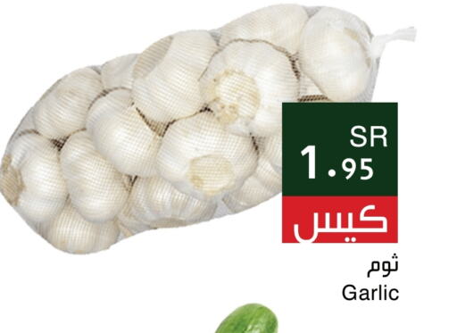  Garlic  in Hala Markets in KSA, Saudi Arabia, Saudi - Jeddah