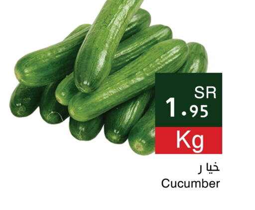  Cucumber  in Hala Markets in KSA, Saudi Arabia, Saudi - Jeddah