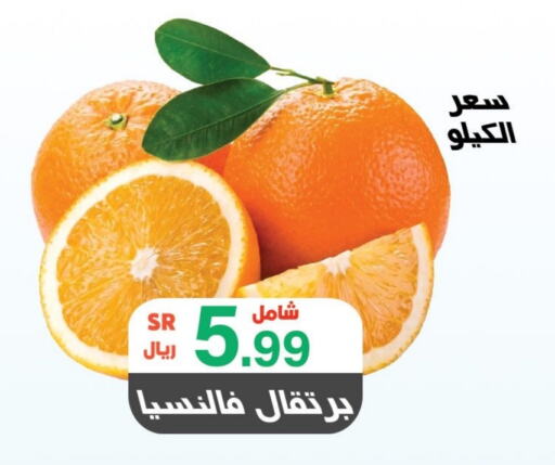  Orange  in Al Rasheed Markets in KSA, Saudi Arabia, Saudi - Riyadh