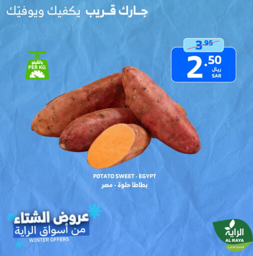  Sweet Potato  in Al Raya in KSA, Saudi Arabia, Saudi - Mecca