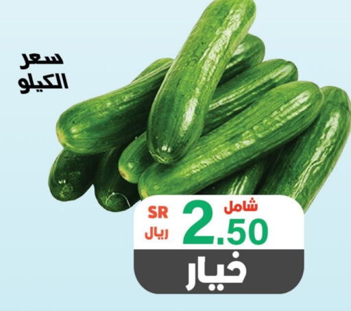  Cucumber  in Al Rasheed Markets in KSA, Saudi Arabia, Saudi - Riyadh